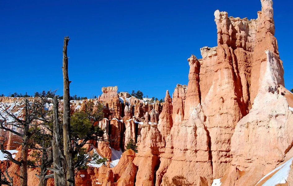 Ready For Adventure?